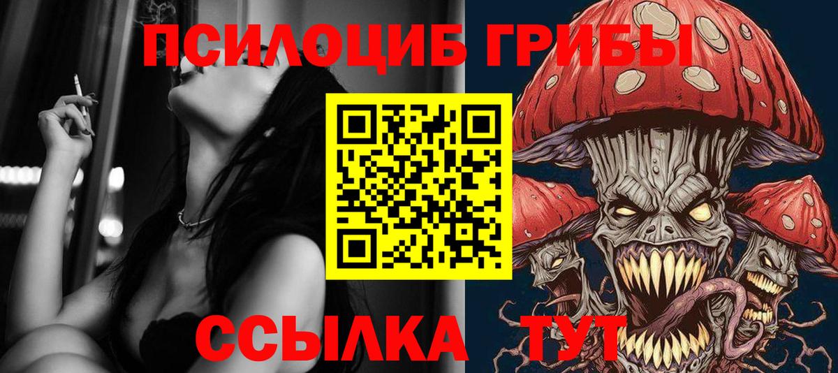 Галлюциногенные грибы Psilocybe Липецк